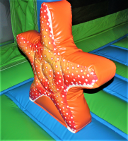 /album/atrakce-morsky-svet/morsky-svet-hvezdice-png1/